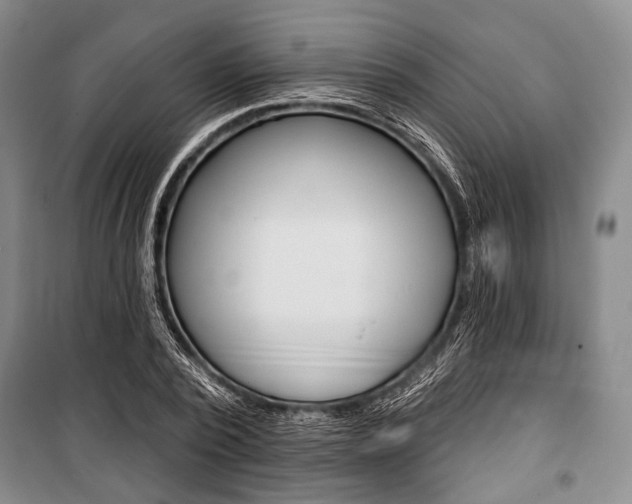 X0000101140784200806270735