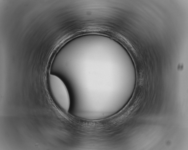 X0000101140786200806270735