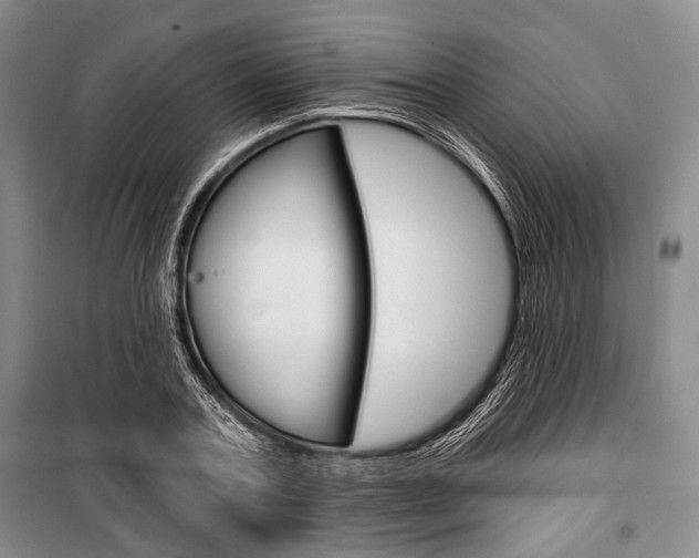 X0000101140787200806270735
