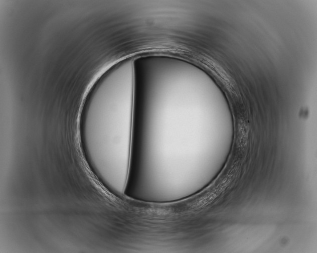 X0000101140788200806270735