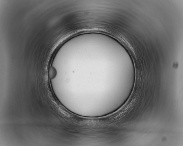 X0000101140789200806270735