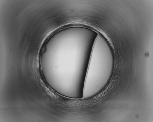 X0000101140791200806270735