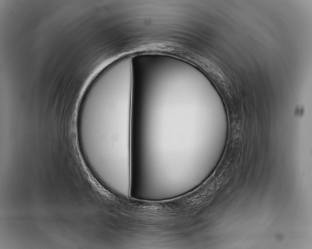 X0000101140792200806270735