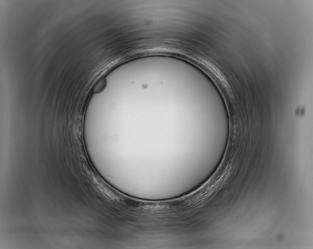 X0000101140793200806270735
