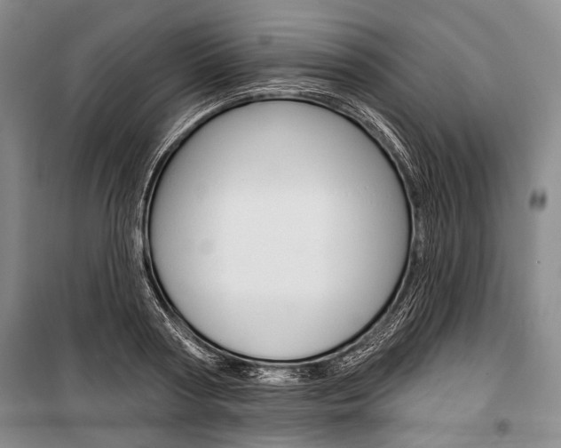 X0000101140794200806270735