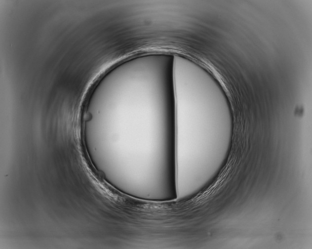 X0000101140795200806270735
