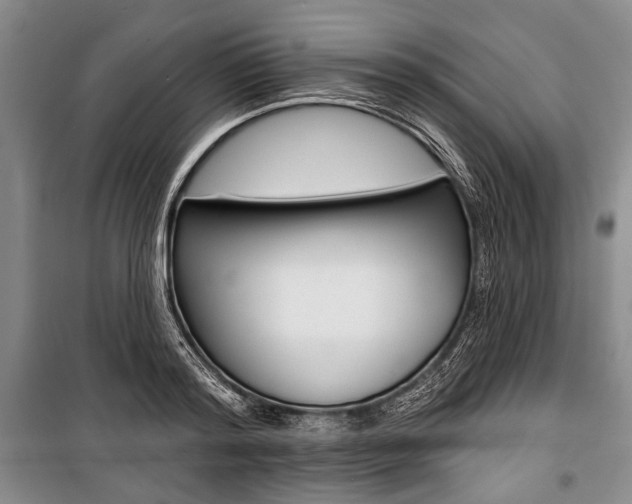 X0000101140796200806270735