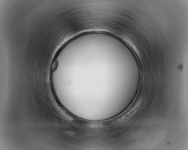 X0000101140797200806270735
