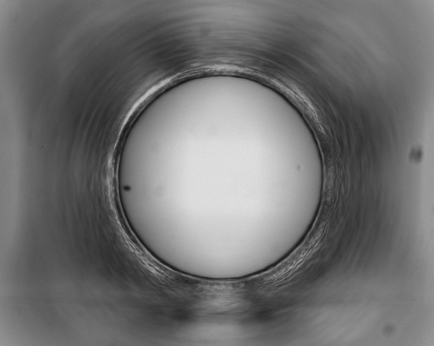 X0000101140798200806270735