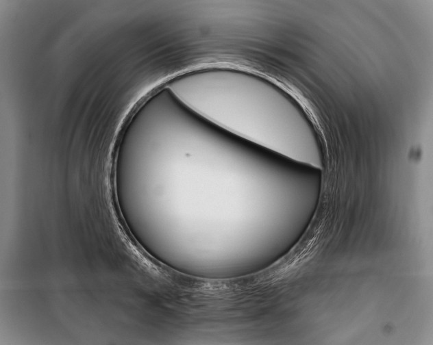 X0000101140799200806270735
