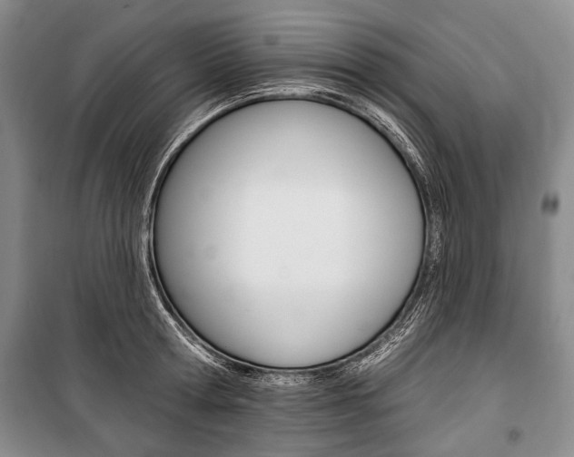 X0000101140802200806270735