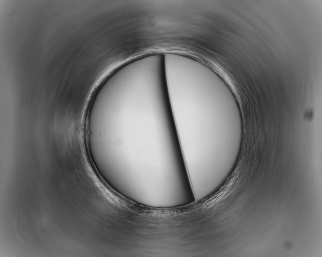X0000101140803200806270735