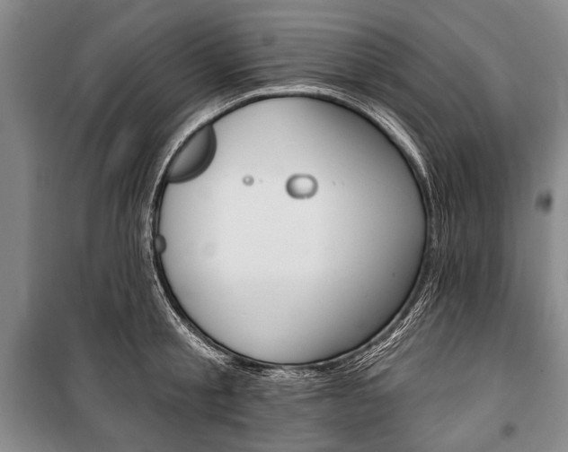 X0000101140805200806270735