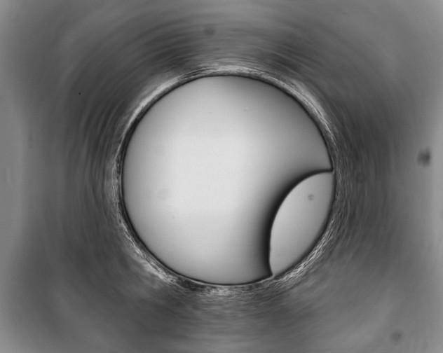 X0000101140806200806270735