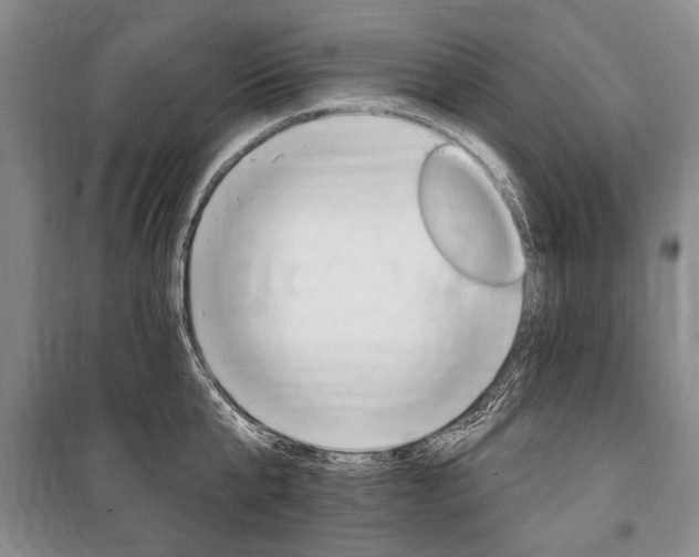 X0000101140807200806270735