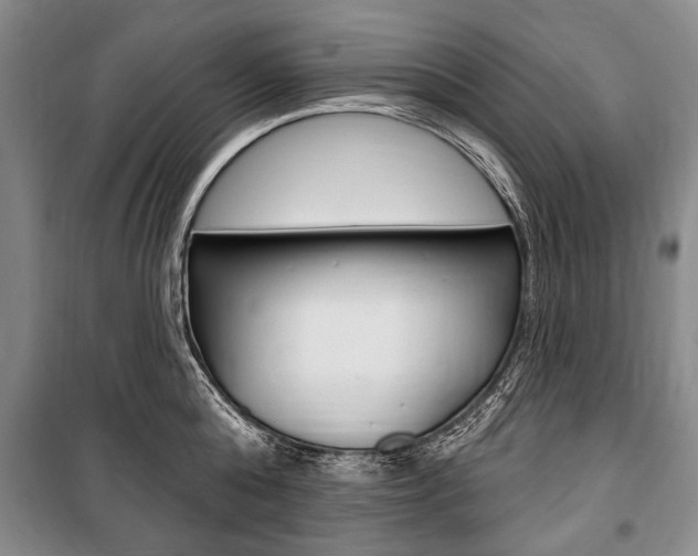 X0000101140808200806270735