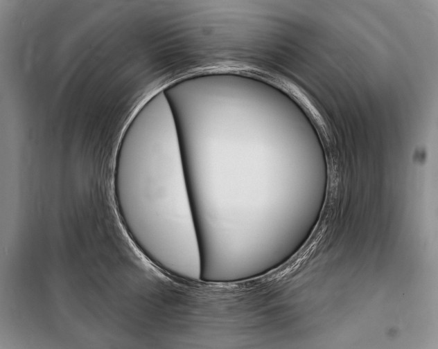 X0000101140810200806270735