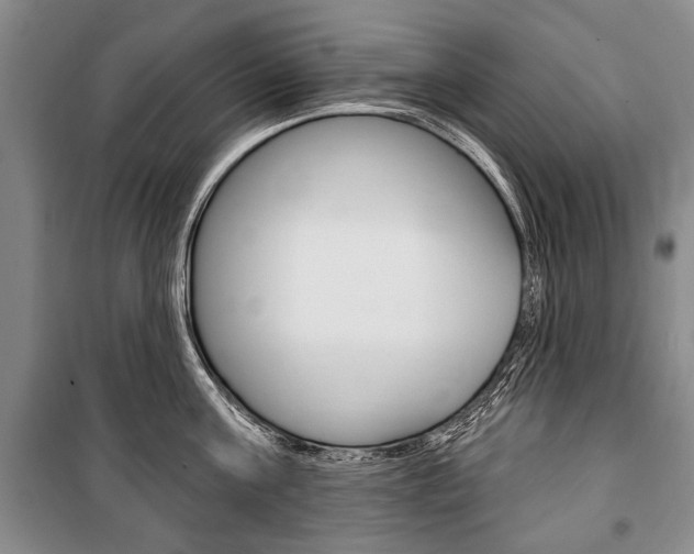 X0000101140811200806270735