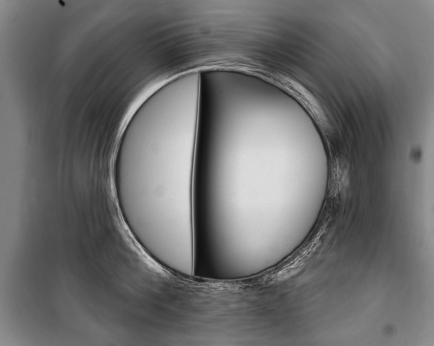 X0000101140812200806270735