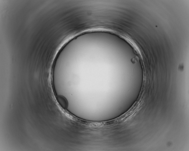 X0000101140813200806270735