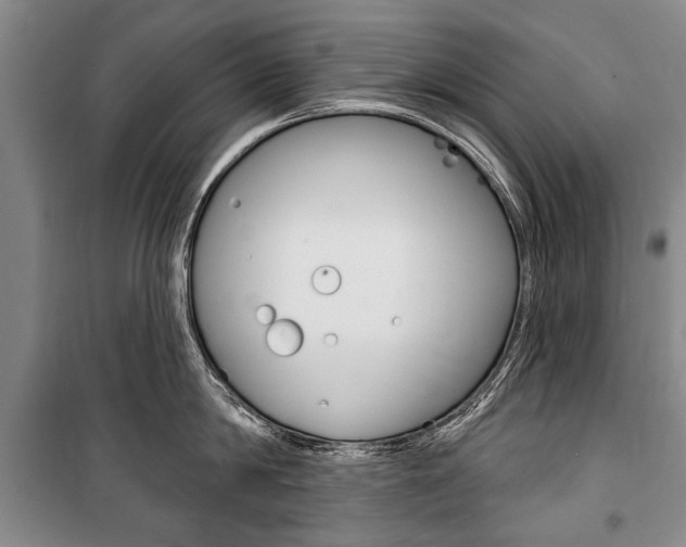 X0000101140814200806270735