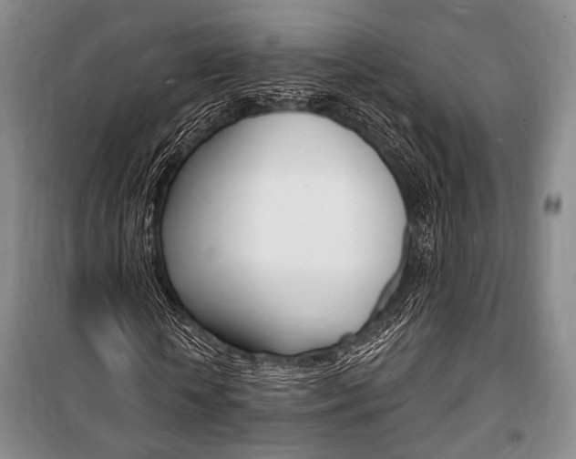 X0000101140818200806270734
