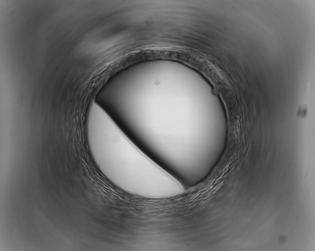 X0000101140821200806270734