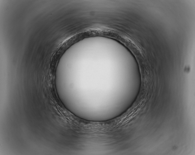 X0000101140822200806270734