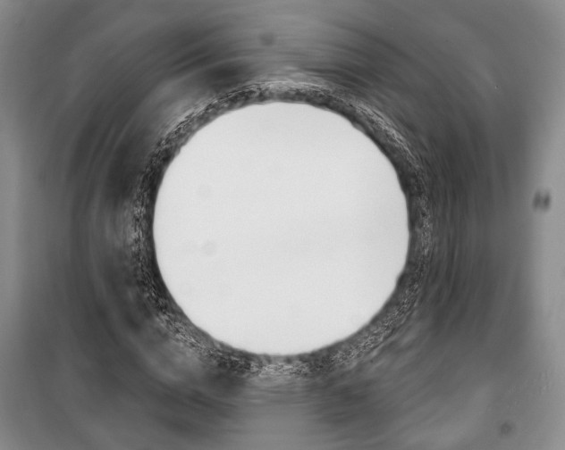 X0000101140824200806270734