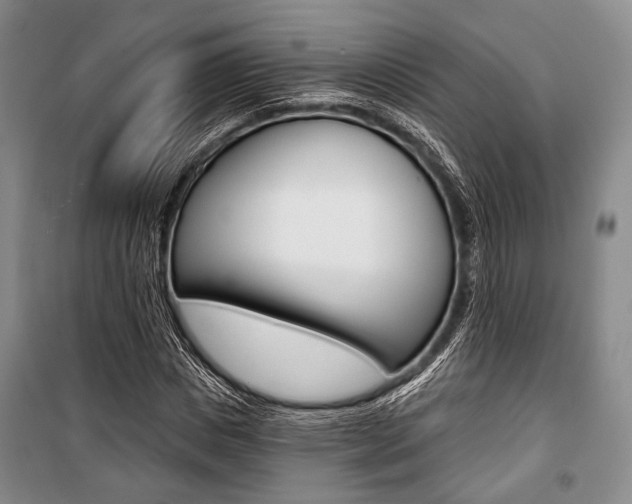 X0000101140825200806270734