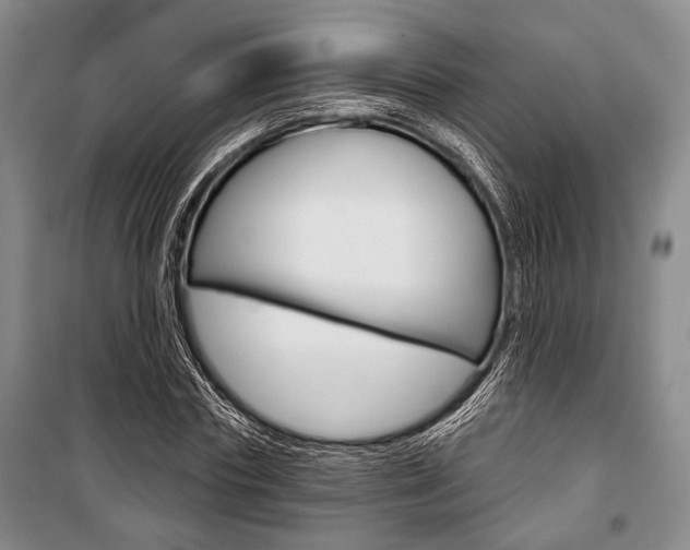 X0000101140827200806270734