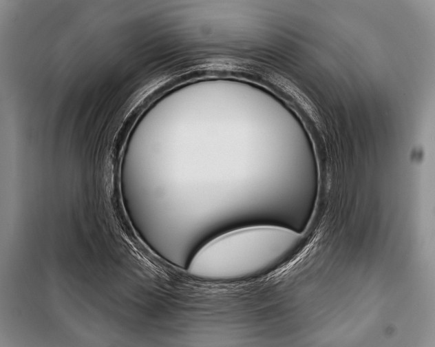 X0000101140829200806270734