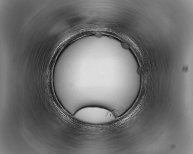 X0000101140831200806270734