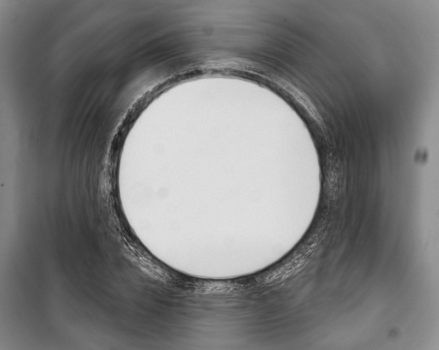 X0000101140832200806270734