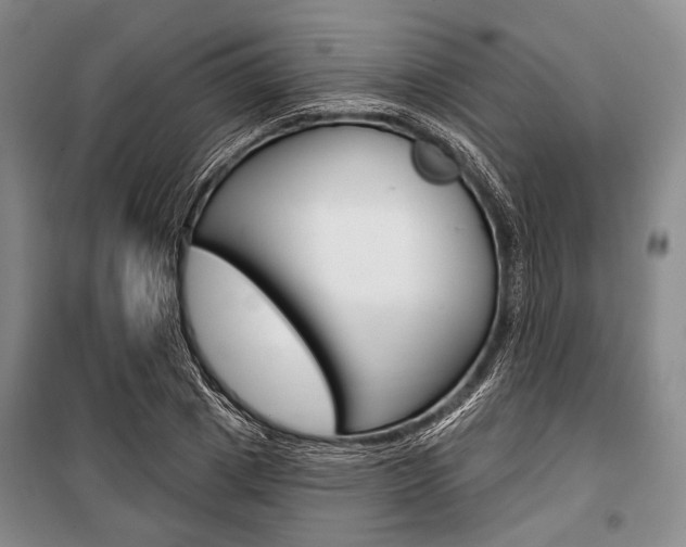 X0000101140833200806270734