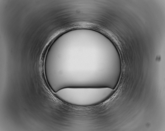 X0000101140835200806270734