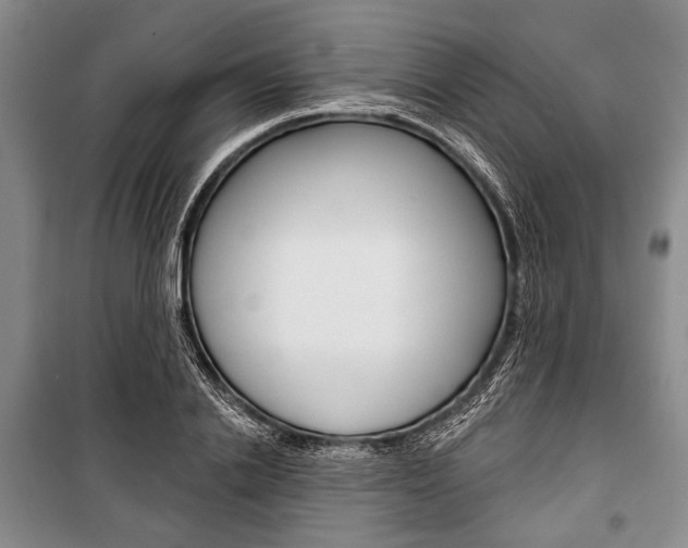 X0000101140838200806270734