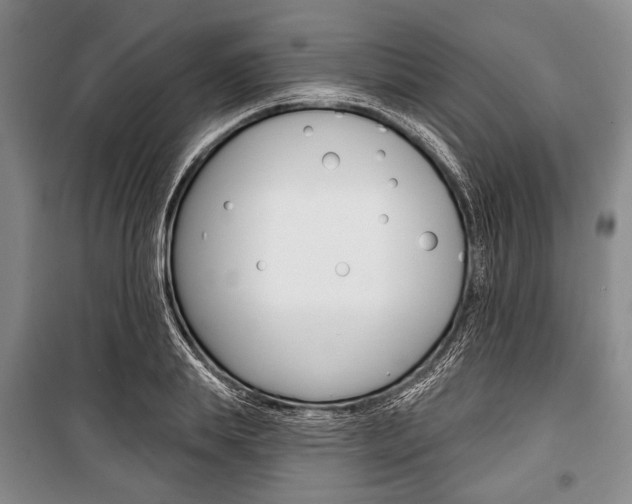 X0000101140839200806270734