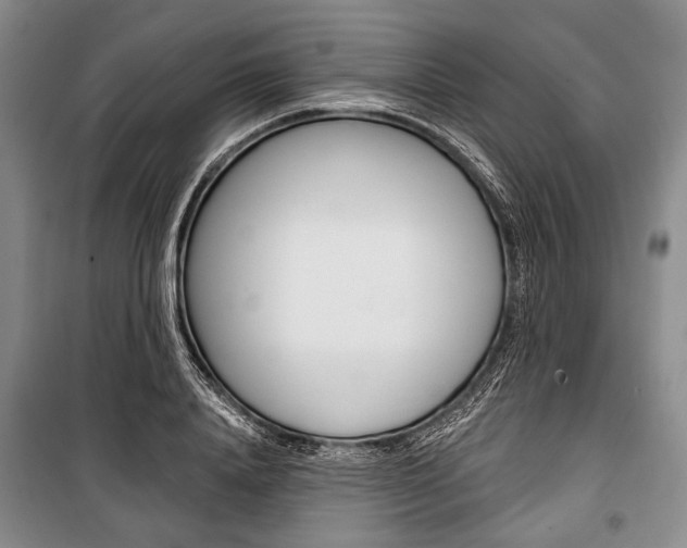 X0000101140840200806270734