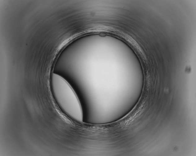 X0000101140842200806270734