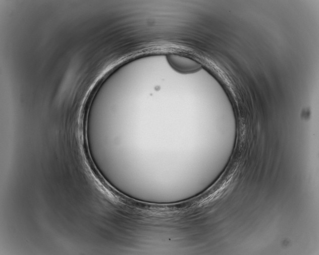 X0000101140843200806270734