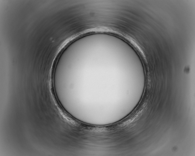 X0000101140845200806270734