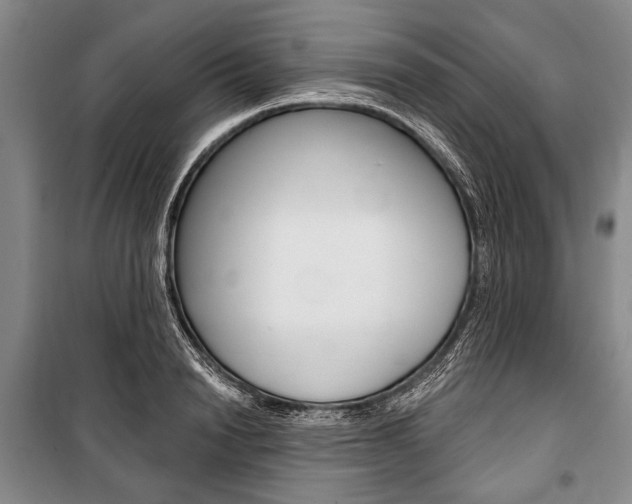 X0000101140846200806270734
