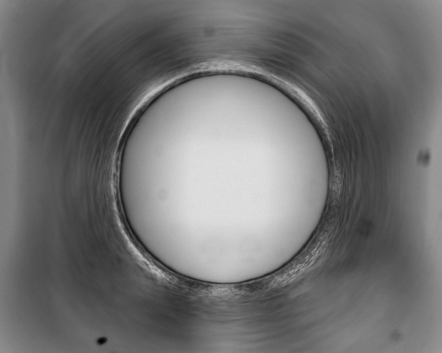 X0000101140847200806270734