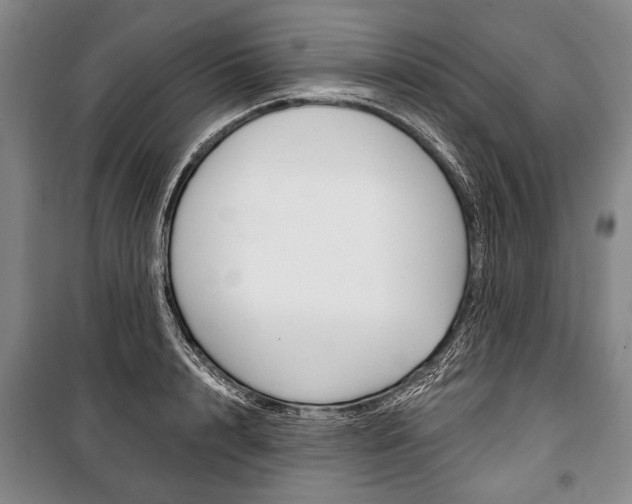 X0000101140848200806270734