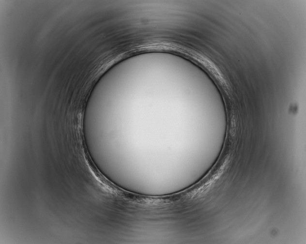 X0000101140849200806270734