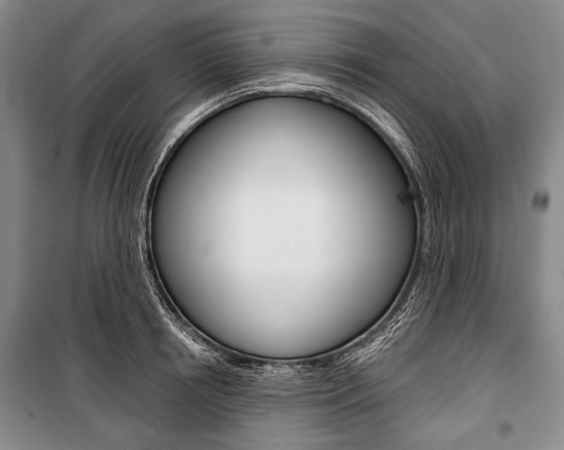 X0000101140850200806270734