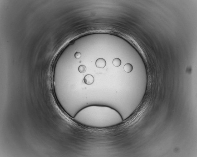 X0000101140851200806270734