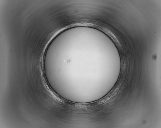 X0000101140852200806270734