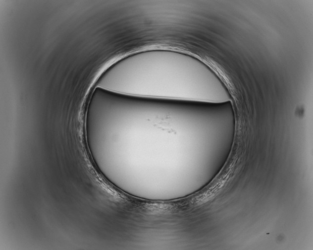 X0000101140854200806270734